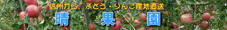 晴果園から美味しいぶどう・りんご産地直送